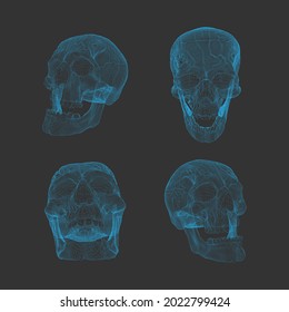 Set wireframes Human Skull, Scary, Locally deformed lines on dark background, geometric polygons line art. Cartoon style. Isolated object. Design materials. 3D scanning. Vector illustration.