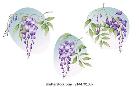 A set of wisteria branches with green leaves. Great for postcards, invitation stickers, etc.
