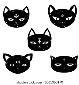 Set of witch cats. Magical black cat. Mystery kitty illustration. Cats with moons, stars for printing on wall, T-shirt, tattoo, social media post and stories