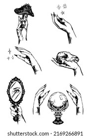 Set Of Witch Hands. Sorcerer Hand Holds Skull, Mirror, Poisonous Mushroom, Magic Crystal Ball. Sketches Vector Collection. Halloween Mystery Cliparts Isolated On White.