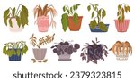 Set of Withered Houseplants in Pots. Once Vibrant And Green, Now Stand Frail And Parched. Leaves Droop, Hang Lifeless. A Testament To Neglect And Thirst For Care. Cartoon Vector Illustration