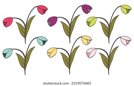 Set of withered Tulip flowers