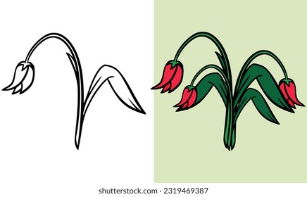 Set of withered Tulip flowers