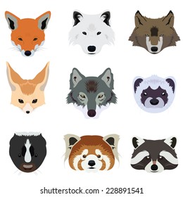 Set of Wolf Fox and Wildlife Animals Vector and Icon 