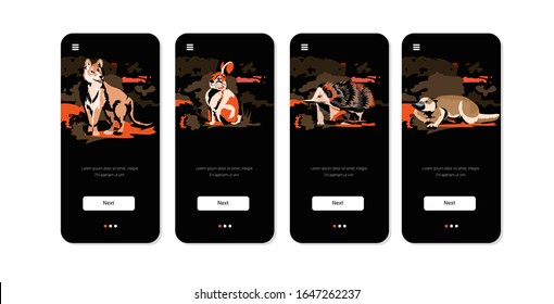 Set Wolf Rabbit Echidna Platypus Running From Forest Fires In Australia Animals Dying In Wildfire Bushfire Natural Disaster Concept Intense Orange Flames Smartpone Screens Collection Horizontal Vector