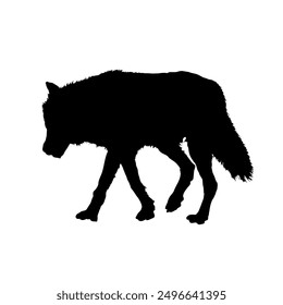 Set of wolf silhouettes. Wolf silhouette isolated.	