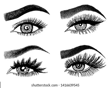 Set with woman's eyes, eyelashes and eyebrows. Makeup Look. Tattoo design. Logos for brow bar or lash salon.