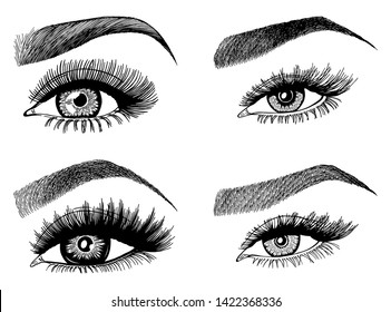 Set with woman's eyes, eyelashes and eyebrows. Makeup Look. Tattoo design. Logos for brow bar or lash salon.