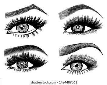 Set with woman's eyes, eyelashes and eyebrows. Makeup Look. Tattoo design. Logos for brow bar or lash salon.