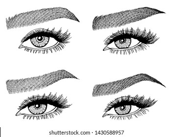 Illustration Womans Eyes Eyebrows Makeup Look Stock Vector (Royalty ...