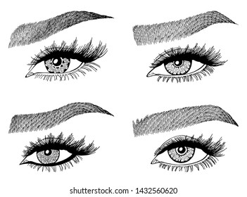 Set with woman's eyes, eyelashes and eyebrows. Makeup Look. Tattoo design. Logos for brow bar or lash salon.