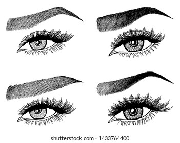 Set with woman's eyes, eyelashes and eyebrows. Makeup Look. Tattoo design. Logos for brow bar or lash salon.