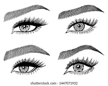 Set with woman's eyes, eyelashes and eyebrows. Makeup Look. Tattoo design. Logos for brow bar or lash salon.