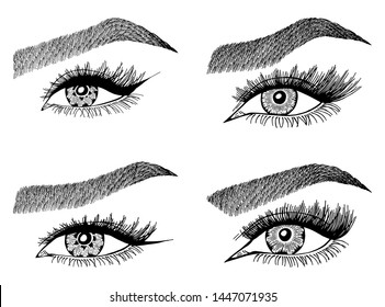 Set with woman's eyes, eyelashes and eyebrows. Makeup Look. Tattoo design. Logos for brow bar or lash salon.