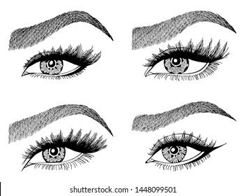 Set with woman's eyes, eyelashes and eyebrows. Makeup Look. Tattoo design. Logos for brow bar or lash salon.