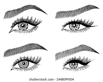 Set with woman's eyes, eyelashes and eyebrows. Makeup Look. Tattoo design. Logos for brow bar or lash salon.