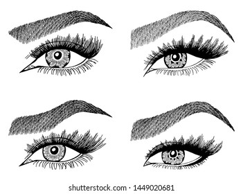 Set with woman's eyes, eyelashes and eyebrows. Makeup Look. Tattoo design. Logos for brow bar or lash salon.