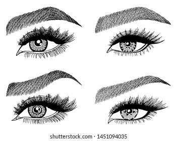 Set with woman's eyes, eyelashes and eyebrows. Makeup Look. Tattoo design. Logos for brow bar or lash salon.