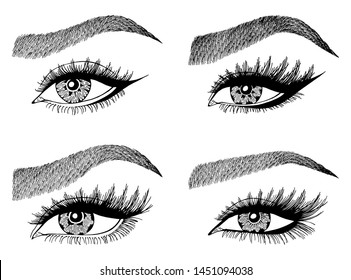 Set with woman's eyes, eyelashes and eyebrows. Makeup Look. Tattoo design. Logos for brow bar or lash salon.