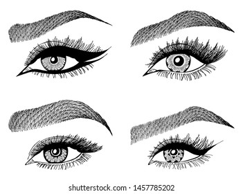 Set with woman's eyes, eyelashes and eyebrows. Makeup Look. Tattoo design. Logos for brow bar or lash salon.