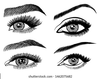 Set with woman's eyes, eyelashes and eyebrows. Makeup Look. Tattoo design. Logos for brow bar or lash salon.