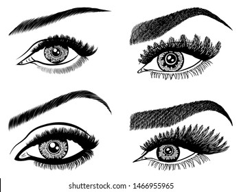 Set with woman's eyes, eyelashes and eyebrows. Makeup Look. Tattoo design. Logos for brow bar or lash salon.