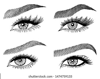 Set with woman's eyes, eyelashes and eyebrows. Makeup Look. Tattoo design. Logos for brow bar or lash salon.