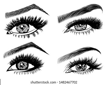 Set with woman's eyes, eyelashes and eyebrows. Makeup Look. Tattoo design. Logos for brow bar or lash salon.