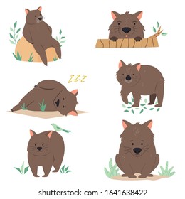 Set of wombats in different poses. Animal character design. Vector illustration