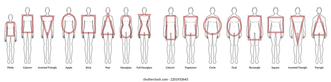 Set of Women Men body shape types. Male and Female Vector illustration style silhouettes 9 head size Gentlemen and lady figure front view. Outline boy and girl for fashion sketching and illustration