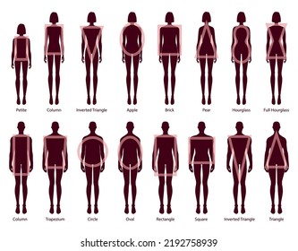Set Women Men Body Shapes Silhouette Stock Vector (Royalty Free ...