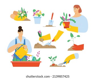 Set of women planting, seedling and watering plants during springtime. Close up hands with gloves doing garden work. Vector illustration in flat style