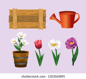 set wood box with roses and flowers plants