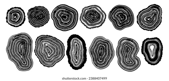 Set of wooden annual rings textures. Black and white tree ring patterns.Stamp of tree trunk in section isolated on white background. Natural wooden concentric circles