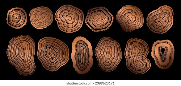 Set of wooden annual rings textures. Luxury golden tree ring patterns. Collection of tree trunk stamps in section isolated on black background. Natural wooden concentric circles