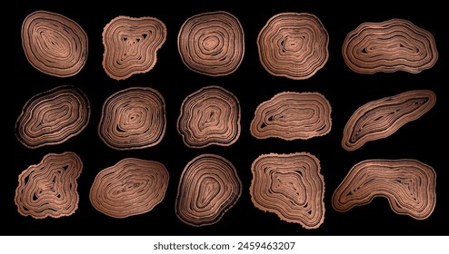 Set of wooden annual rings textures. Luxury golden tree ring patterns. Collection of tree trunk stamps in cross section isolated on black background. Natural wooden concentric circles