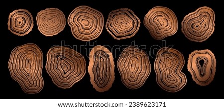 Set of wooden annual rings textures. Luxury golden tree ring patterns. Collection of tree trunk stamps in section isolated on black background. Natural wooden concentric circles
