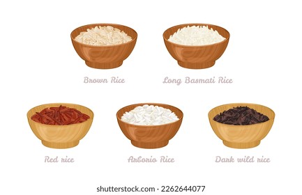 Set of wooden bowls with rice seed of different types. Arborio, dark wild rice, red, long basmati rice and brown rice. Vector cartoon illustration.