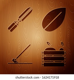Set Wooden box for fruits and vegetables, Gardening handmade scissors for trimming, Garden rake in work and Leaf on wooden background. Vector