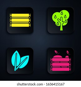Set Wooden box for fruits and vegetables, Wooden box, Leafs and Tree with pears. Black square button. Vector