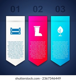 Set Wooden box, Waterproof rubber boot and Tree. Business infographic template. Vector