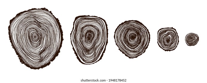 Set wooden cross section. Vector wood texture wavy ring pattern of a slice of wood. A wooden stump in shades of grey is isolated on white. Vector illustration. Cross-section tree background