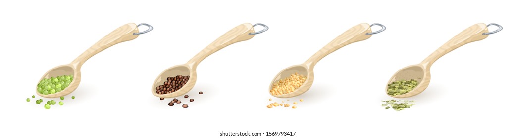 Set of wooden spoons with metallic d-ring hung with food ingredients, spices green peas, black pepper, sesame, coriander, fenugreek seeds, tarragon. Vector collection isolated on white background.