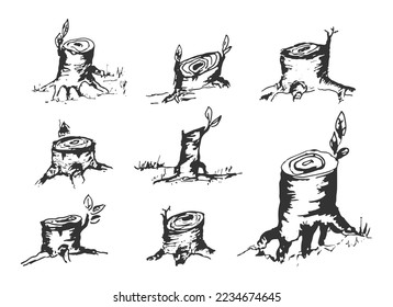 Set of wooden stump hand drawn rough vintage pencil sketch illustration. Different shape of dead tree stump drawing isolated on white background. 