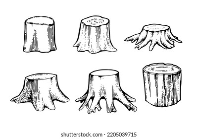 Set of Wooden stump. Remaining tree with roots. Forest or garden plant. Hand drawn outline sketch. Isolated on white background. Vector.