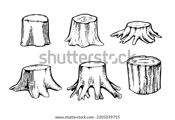 Set of Wooden stump. Remaining tree with roots.\
Forest or garden plant. Hand drawn outline sketch. Isolated on\
white background. Vector.