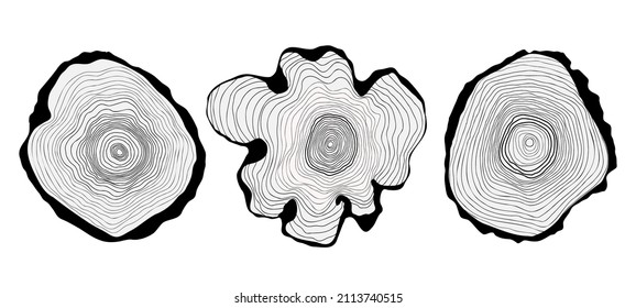 Set of wooden stumps with hand drawn linear pattern of tree rings - vector illustration isolated on white. Flat color design.