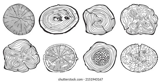 Conjunto de patrones de textura de madera de una rodaja de árbol
la corteza del árbol, talla los anillos, tronco de madera. Aislado sobre fondo blanco.
