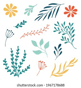 Set woodland leaves illustration. Hand draw vector collection of cute foliage. Summer and autumn design elements. Nature elements