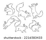 Set of woodland squirrel. Collection of cute squirrels with red fluffy tail running, standing and jumping. Forest fauna. Vector illustration isolated on white background.